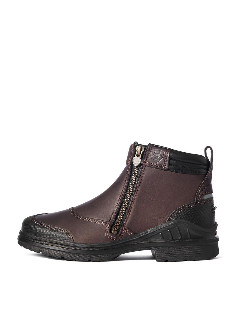 Botas De Equitacion Ariat Barnyard Side Zip Marrom Oscuro | SGX134589