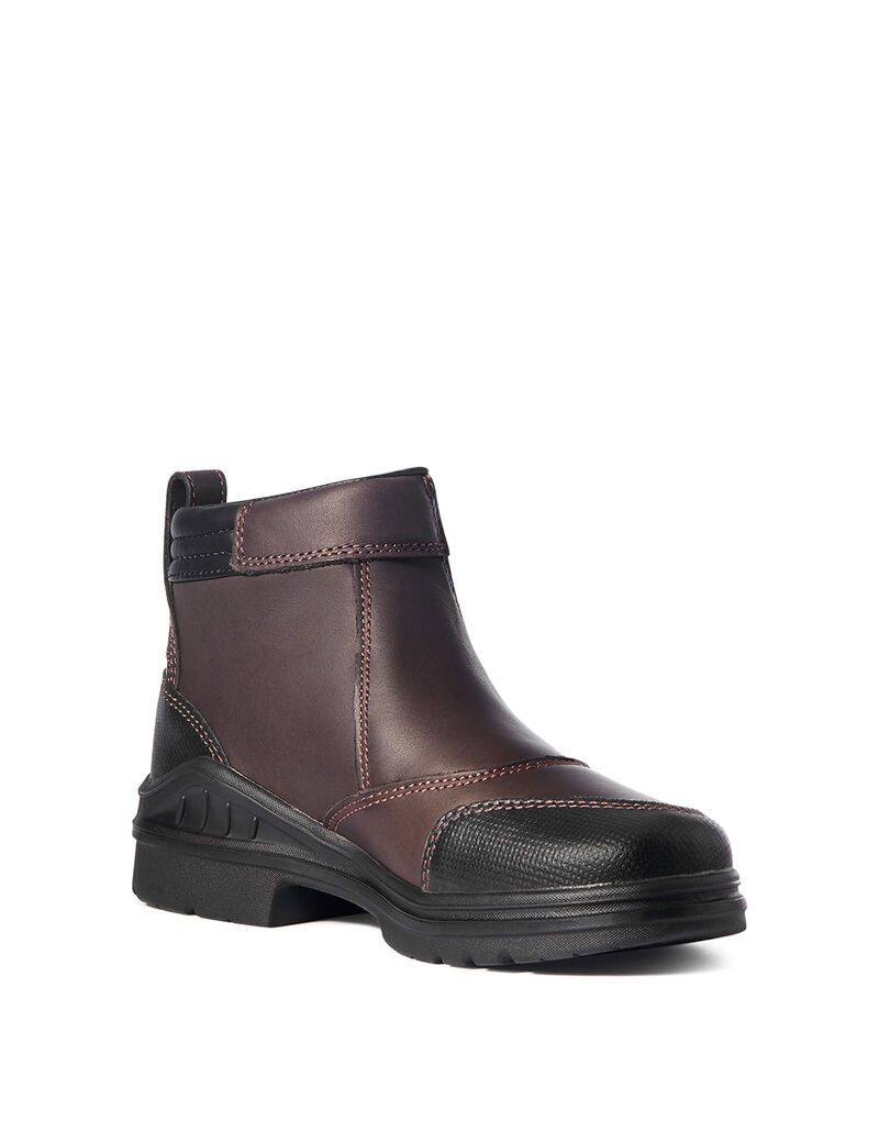 Botas De Equitacion Ariat Barnyard Side Zip Marrom Oscuro | SGX134589