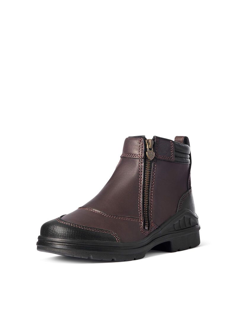 Botas De Equitacion Ariat Barnyard Side Zip Marrom Oscuro | SGX134589