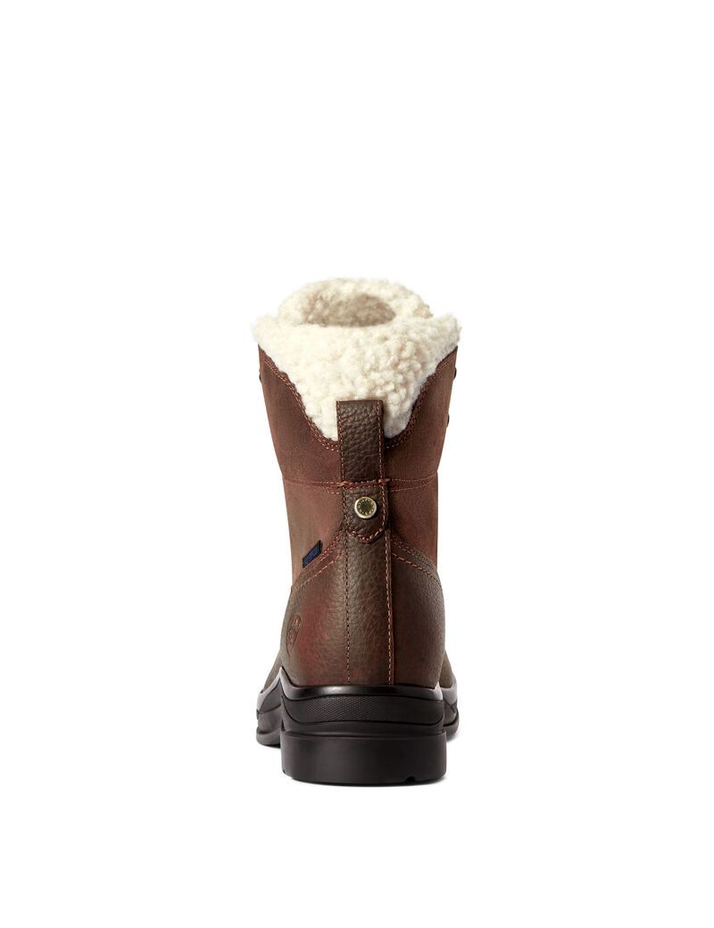 Botas De Equitacion Ariat Harper Impermeables Marrom Oscuro | CIE784031