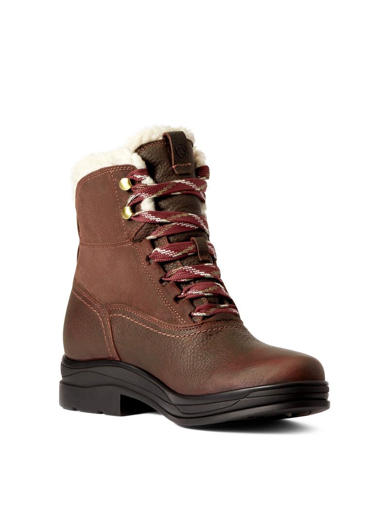 Botas De Equitacion Ariat Harper Impermeables Marrom Oscuro | CIE784031