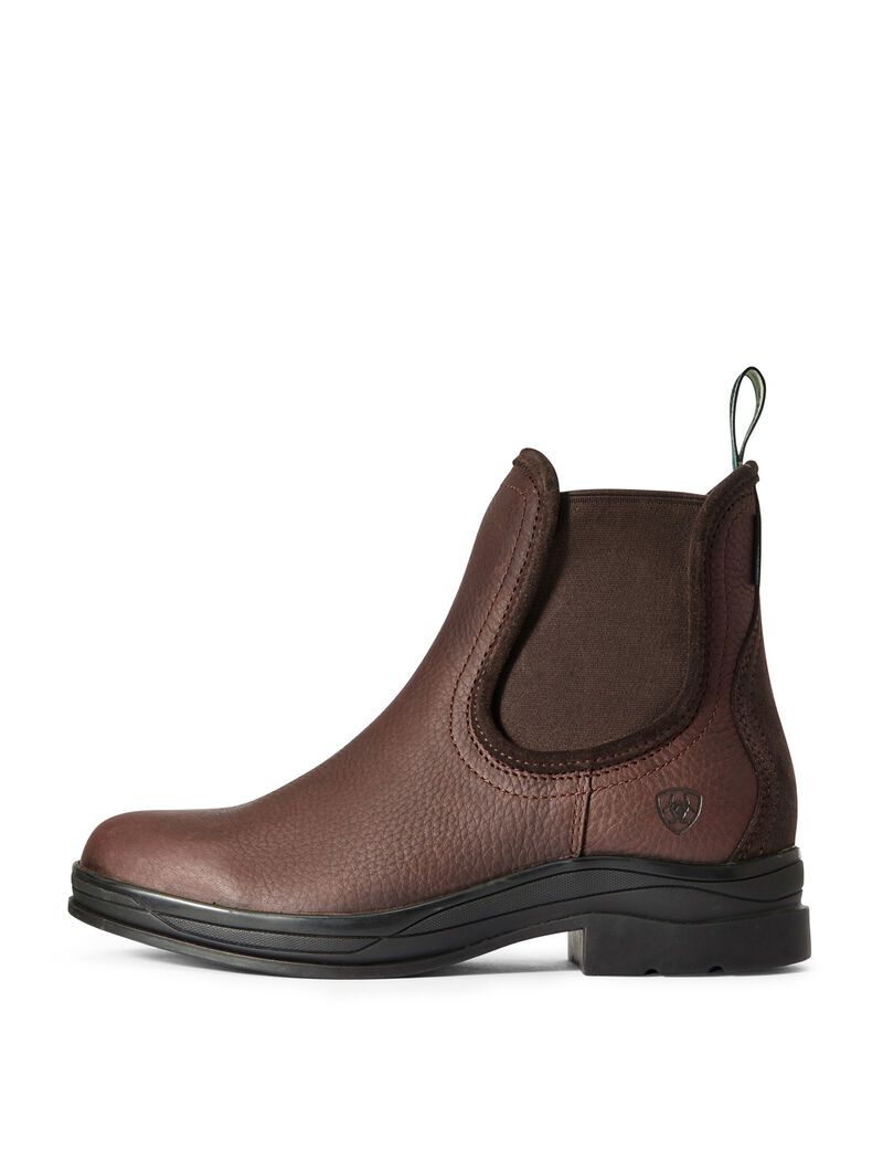 Botas De Equitacion Ariat Keswick Impermeables Marrom Oscuro | RXV798523