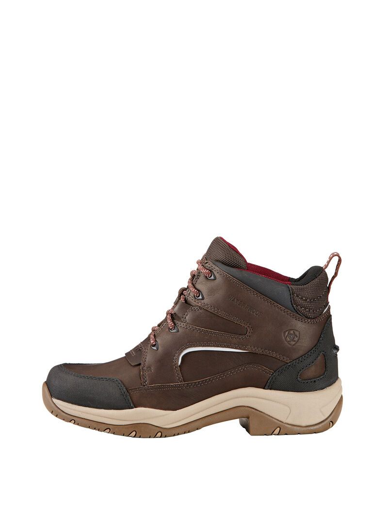 Botas De Equitacion Ariat Telluride II H2O Marrom | FOK071264