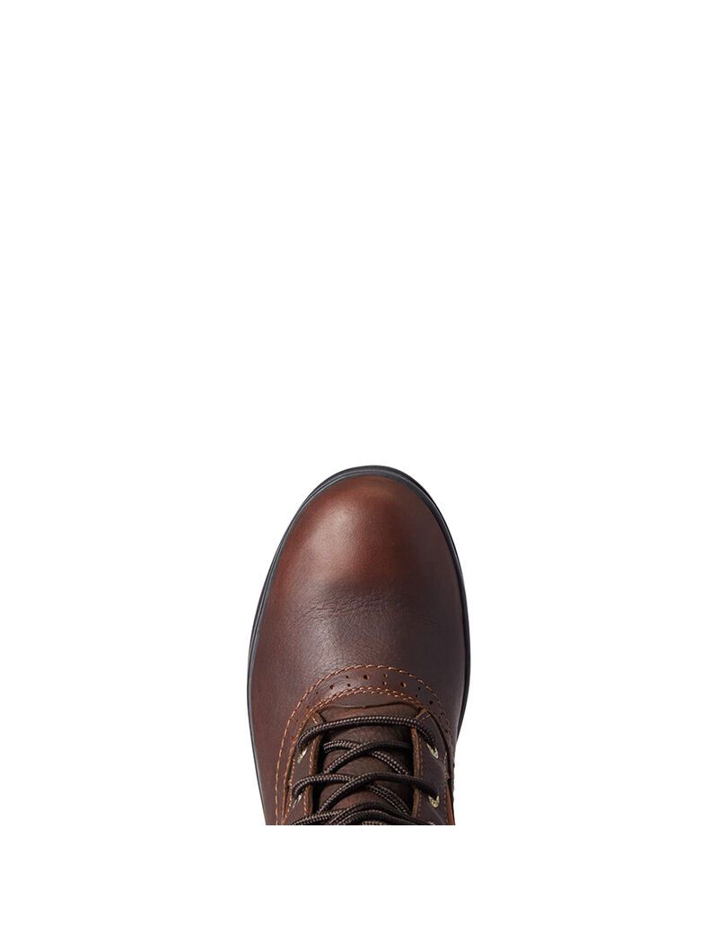 Botas De Equitacion Ariat Wythburn Altos Impermeables Marrom Oscuro | OLJ453721