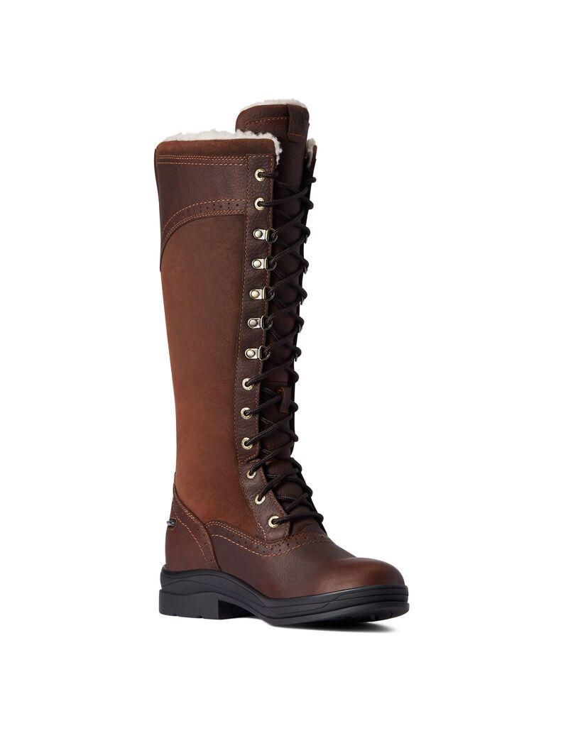 Botas De Equitacion Ariat Wythburn Altos Impermeables Marrom Oscuro | OLJ453721