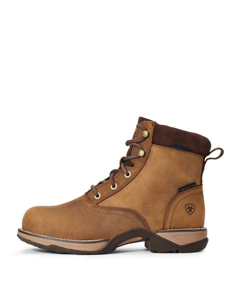 Botas De Trabajo Ariat Anthem Round Puntera Lacer Impermeables Composite Puntera Marrom | VCQ351867