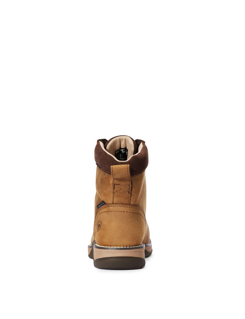 Botas De Trabajo Ariat Anthem Round Puntera Lacer Impermeables Composite Puntera Marrom | VCQ351867