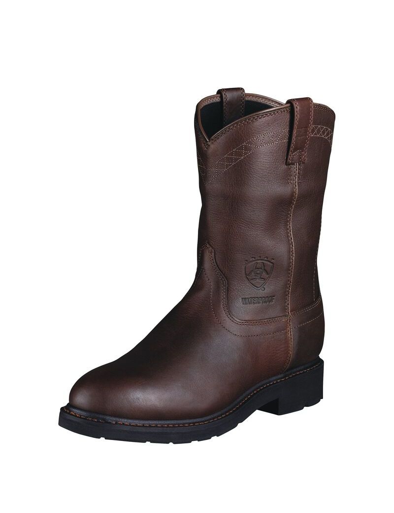 Botas De Trabajo Ariat Sierra Impermeables Multicolor | JVM478031