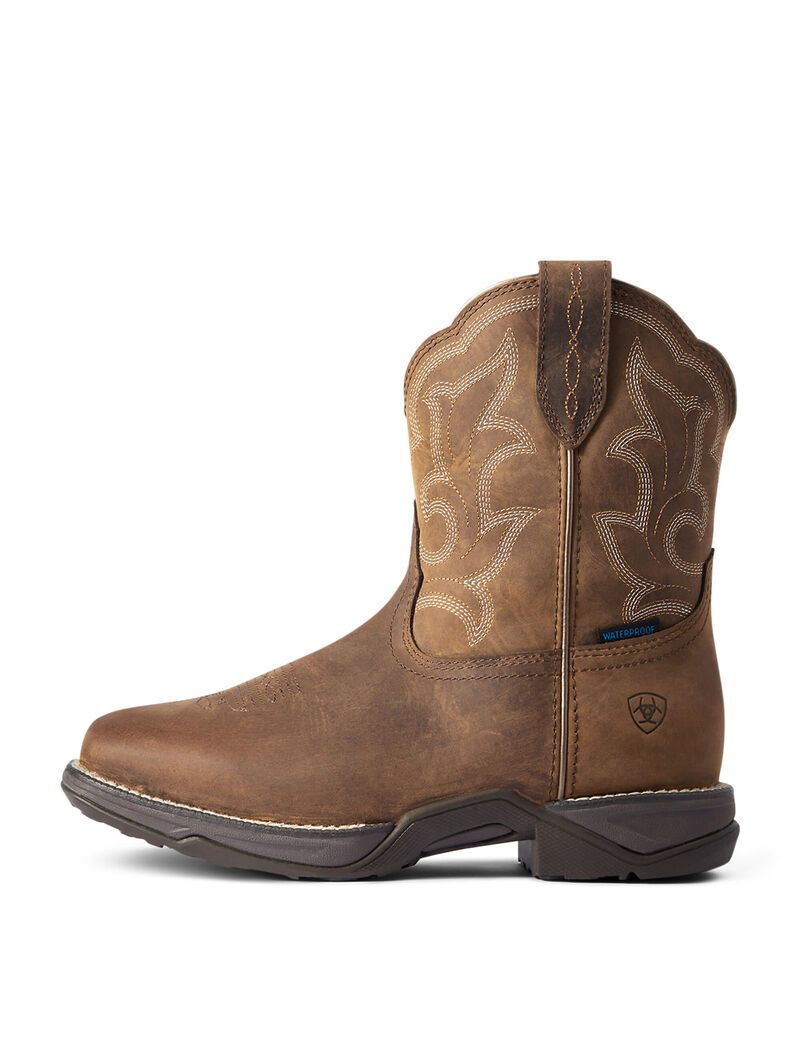 Botas Impermeables Ariat Anthem Shortie II Western Marrom | BWJ925418