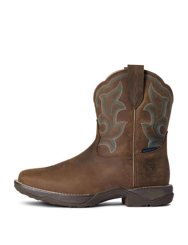 Botas Impermeables Ariat Anthem Shortie II Western Marrom | YFJ153296