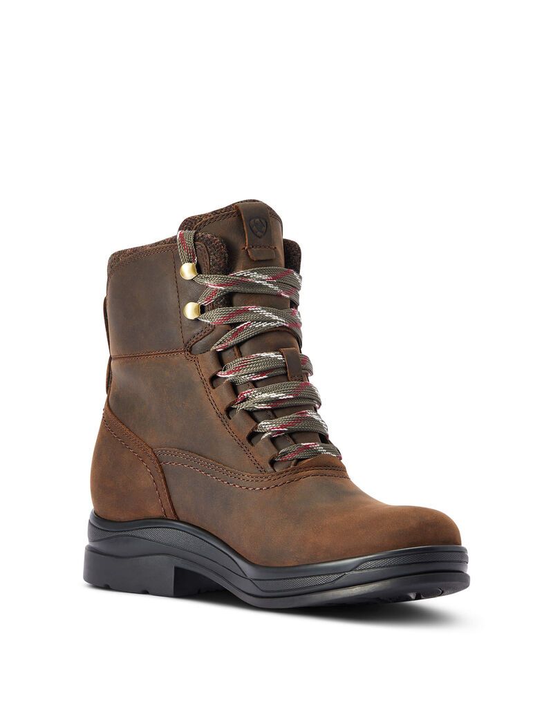 Botas Impermeables Ariat Harper Impermeables Chocolate | UTL965817