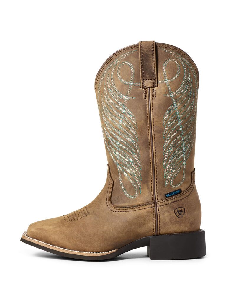 Botas Impermeables Ariat Round Up Anchos Square Puntera Western Marrom | UPH846109