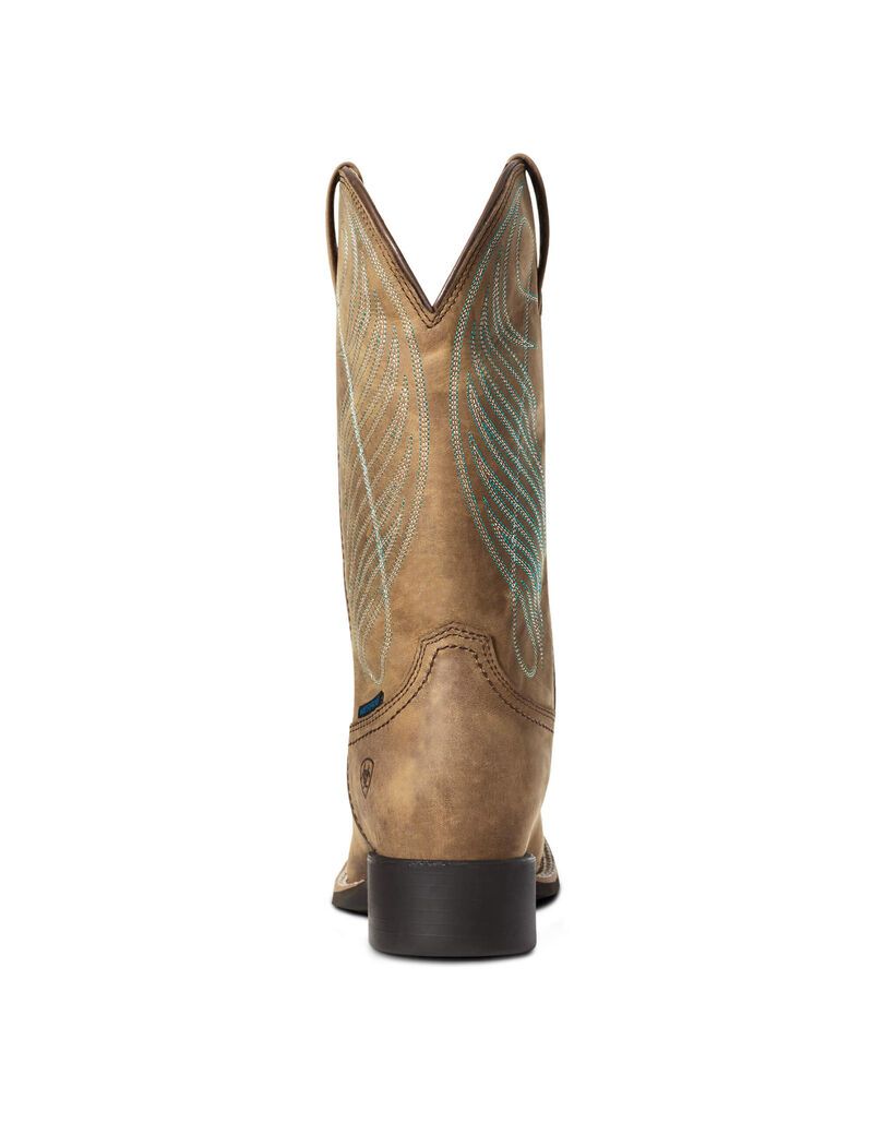 Botas Impermeables Ariat Round Up Anchos Square Puntera Western Marrom | UPH846109