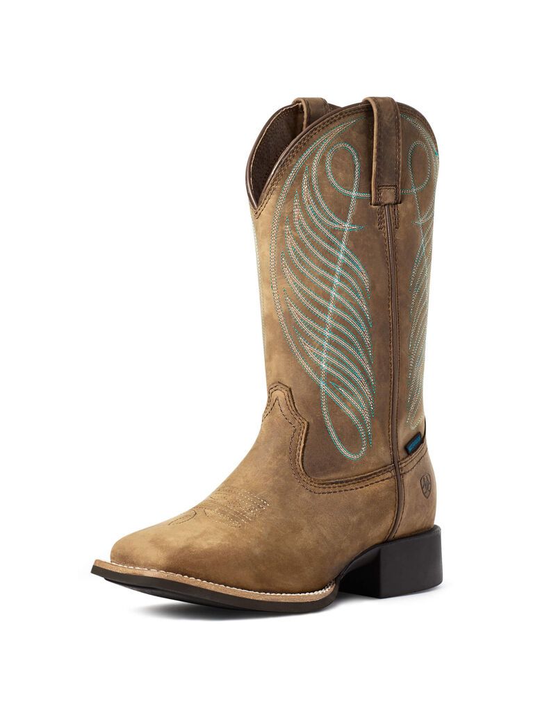 Botas Impermeables Ariat Round Up Anchos Square Puntera Western Marrom | UPH846109