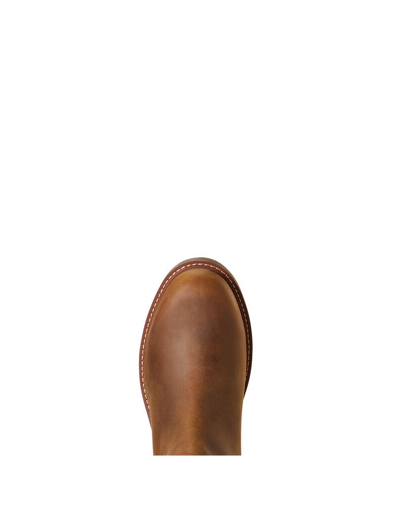 Botas Impermeables Ariat Wexford Impermeables Marrom | XNJ694058