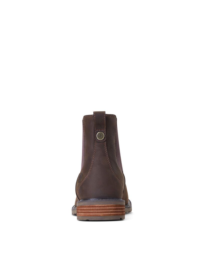 Botas Impermeables Ariat Wexford Impermeables Multicolor | XPY615792