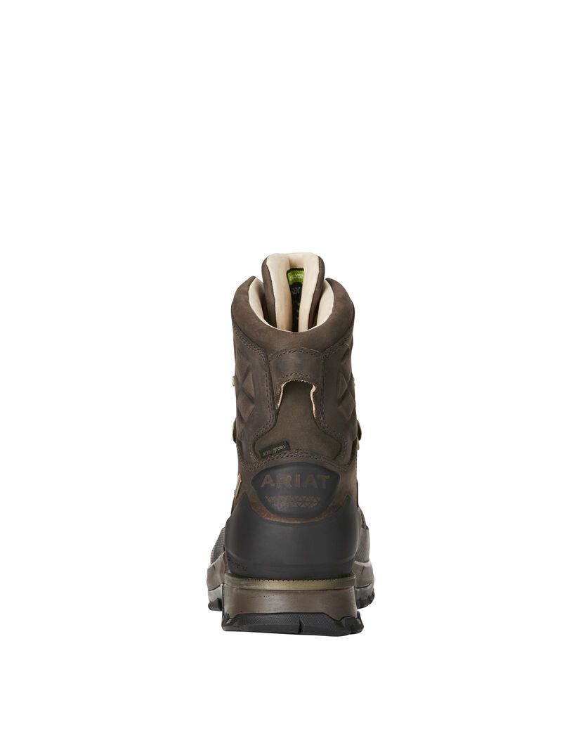 Botas Montaña Ariat Catalyst VX Defiant 8' Gore-Tex 400g Hunting Marrom | VPL983615