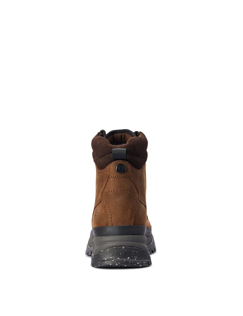 Botas Montaña Ariat Moresby Impermeables Marrom | BAQ162730