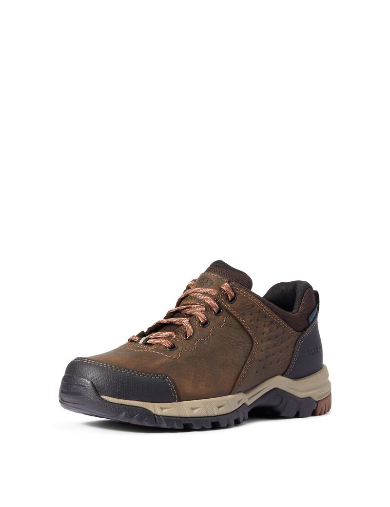 Botas Montaña Ariat Skyline Low Impermeables Marrom | ZFA481923