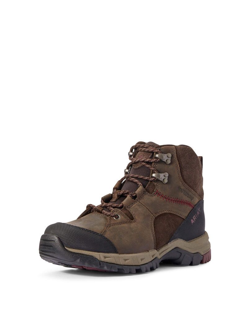 Botas Montaña Ariat Skyline Mid Impermeables Marrom Oscuro | CSU234587