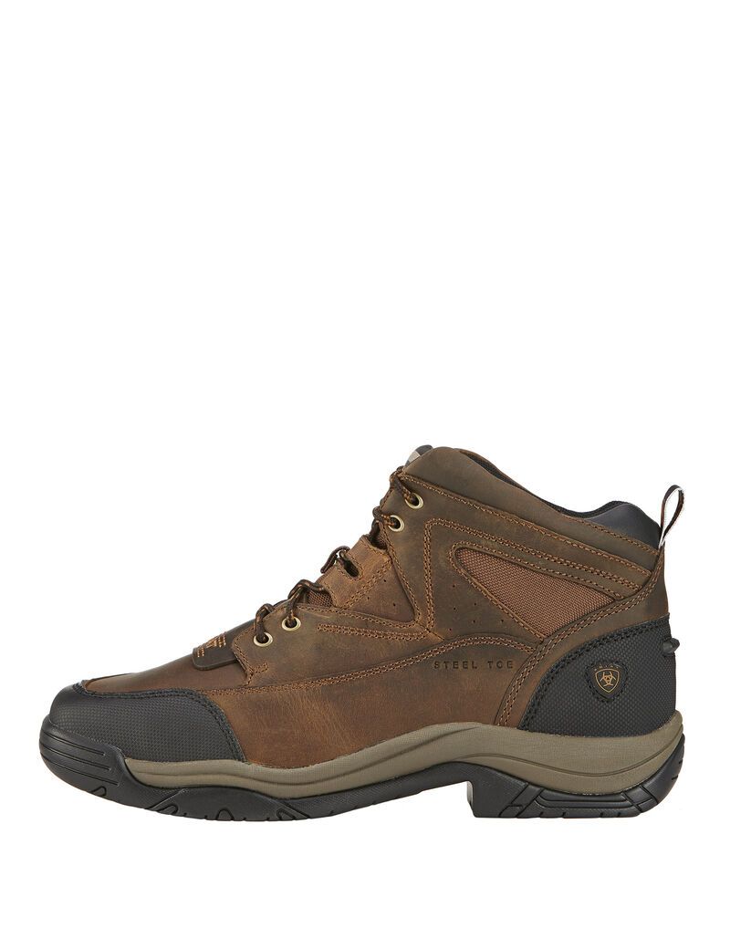 Botas Montaña Ariat Terrain Anchos Square Puntera Steel Puntera Trabajo Marrom | MNB624831