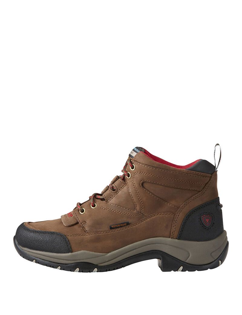 Botas Montaña Ariat Terrain Impermeables Marrom | TQU435896