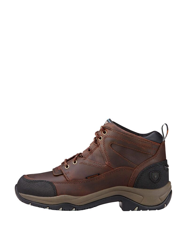 Botas Montaña Ariat Terrain Impermeables Cobra | UDP843269