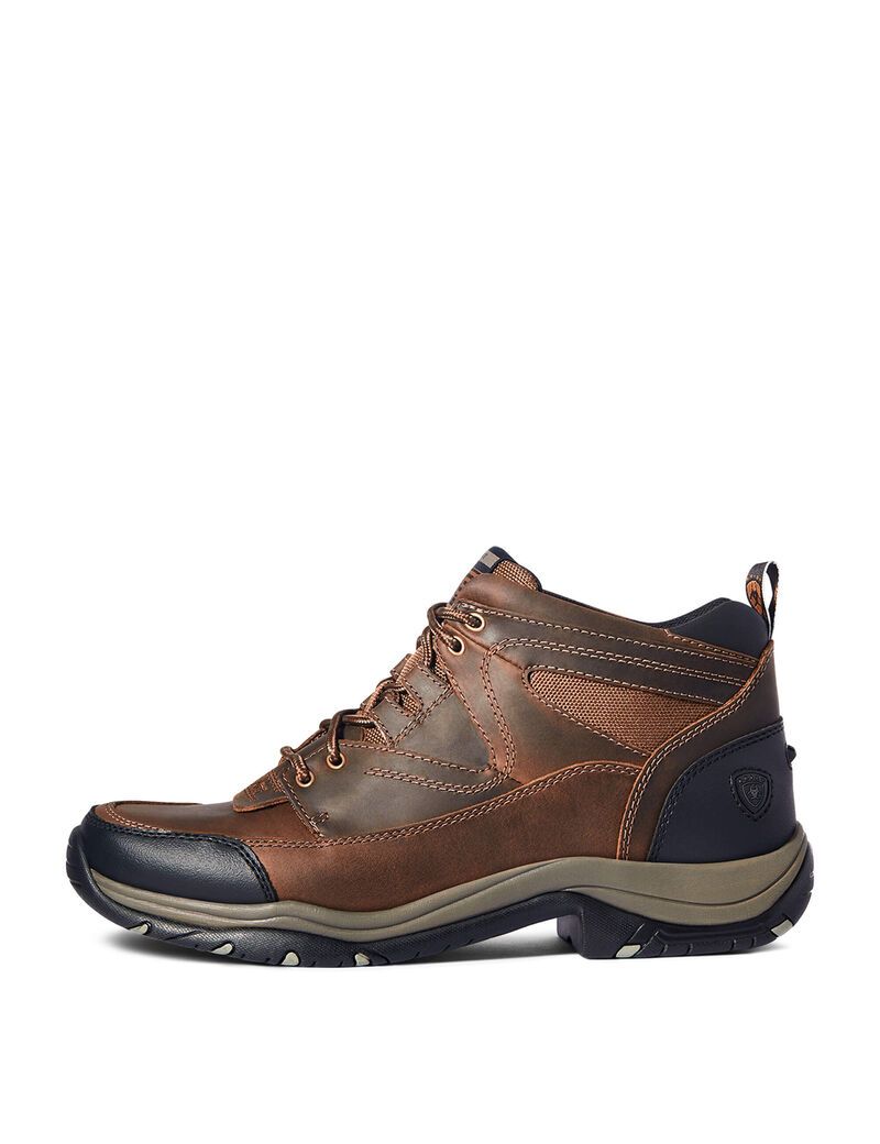 Botas Montaña Ariat Terrain Marrom | DJI287401