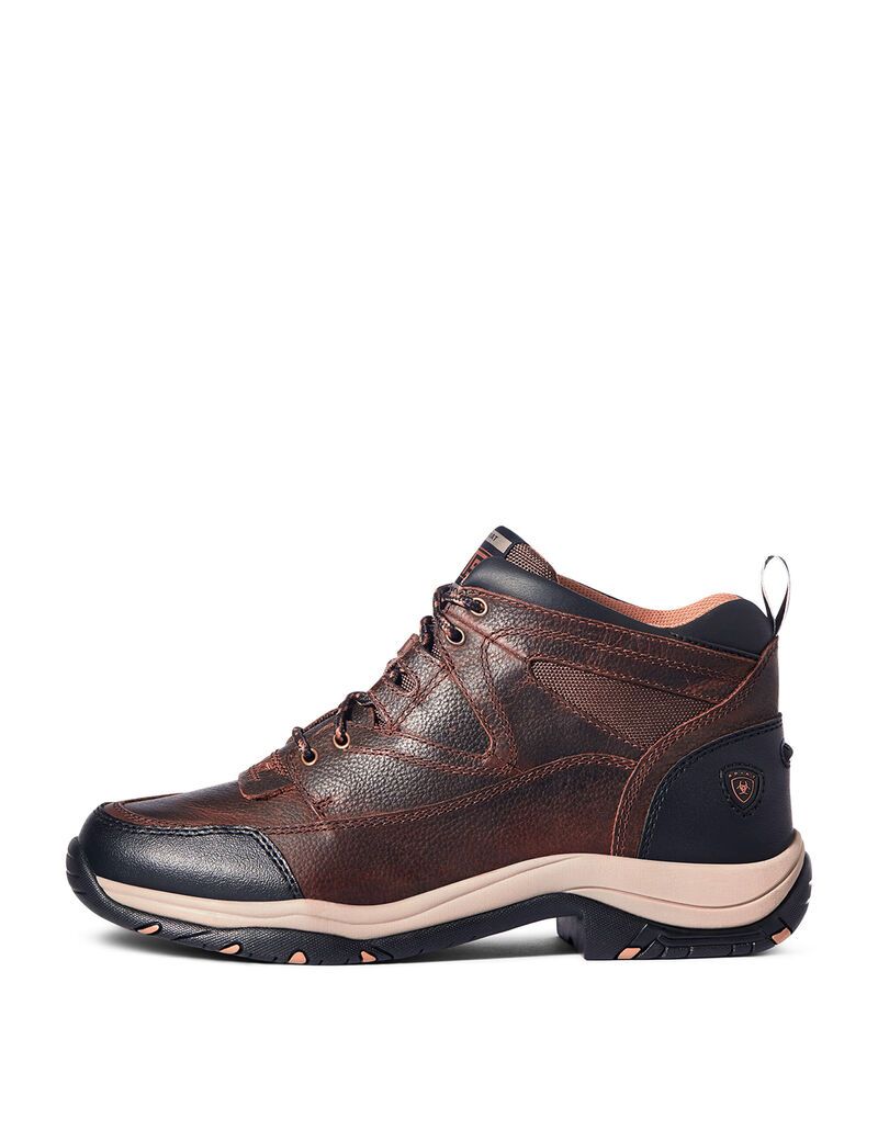 Botas Montaña Ariat Terrain Marrom | HOE572304