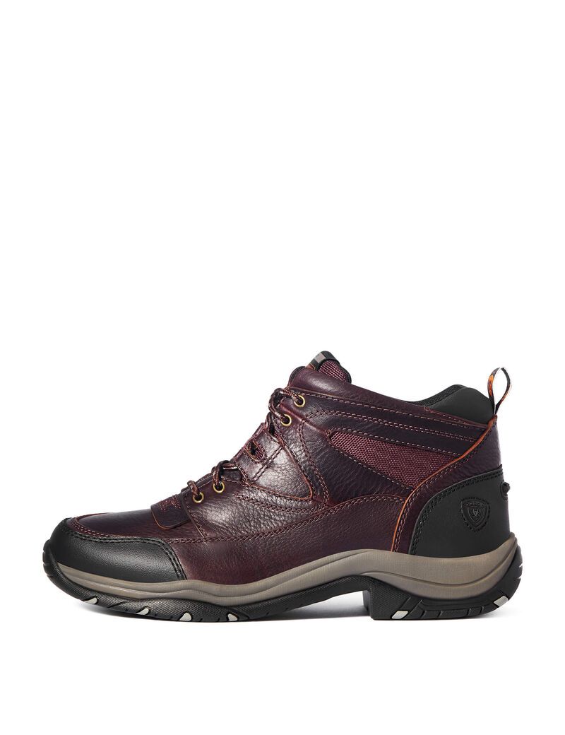 Botas Montaña Ariat Terrain Marrom Oscuro | YQZ267938