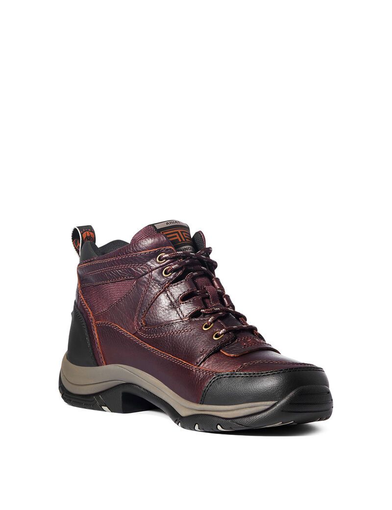 Botas Montaña Ariat Terrain Marrom Oscuro | YQZ267938