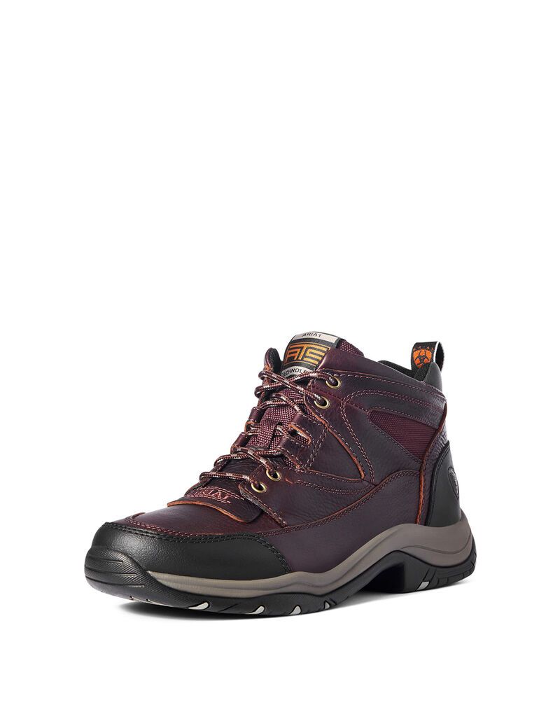 Botas Montaña Ariat Terrain Marrom Oscuro | YQZ267938