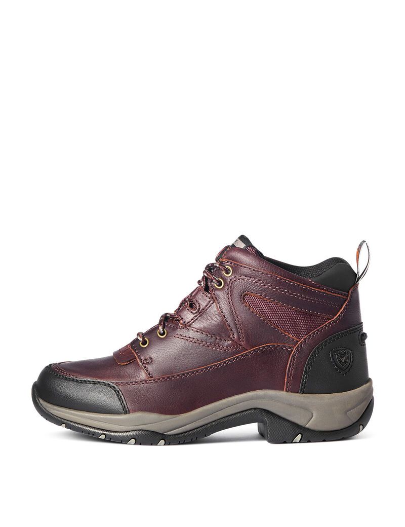 Botas Montaña Ariat Terrain Marrom Oscuro | ZMS571820