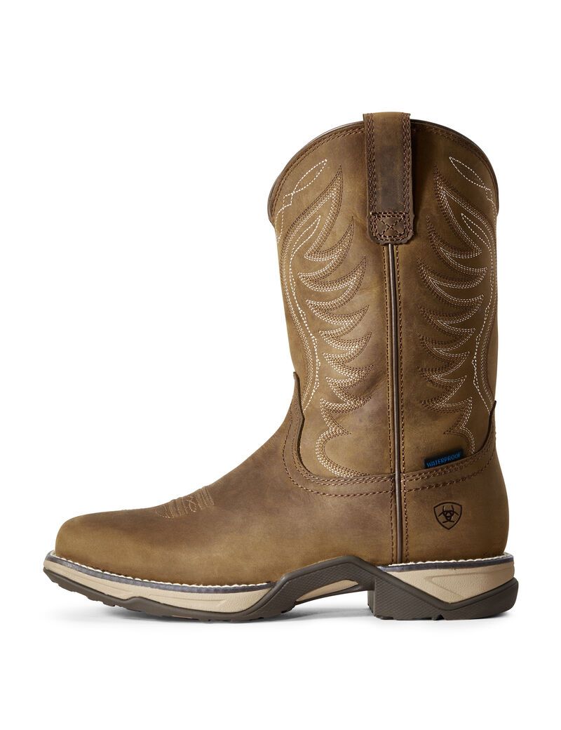 Botas Occidentales Ariat Anthem Impermeables Marrom | PLG298704