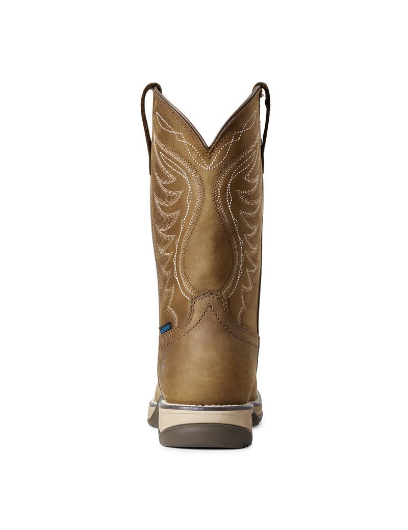 Botas Occidentales Ariat Anthem Impermeables Marrom | PLG298704