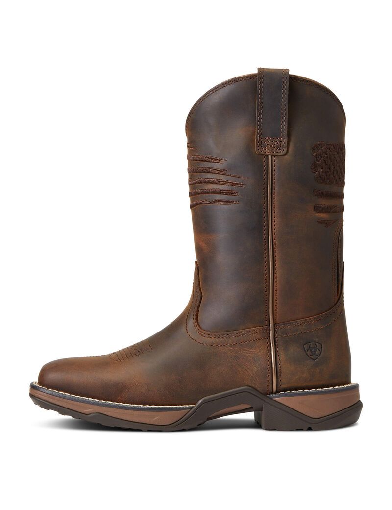 Botas Occidentales Ariat Anthem Patriot Marrom | ICH038951