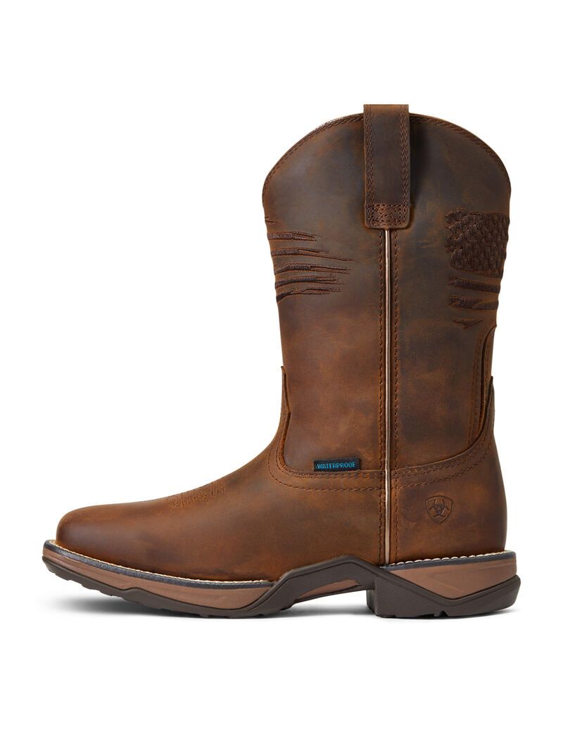 Botas Occidentales Ariat Anthem Patriot Impermeables Marrom | XHK078364