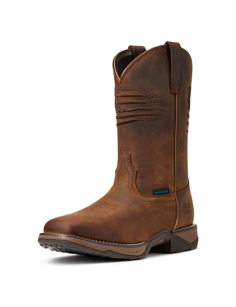 Botas Occidentales Ariat Anthem Patriot Impermeables Marrom | XHK078364