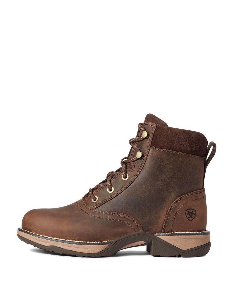 Botas Occidentales Ariat Anthem Round Puntera Lacer Marrom | HVB803674