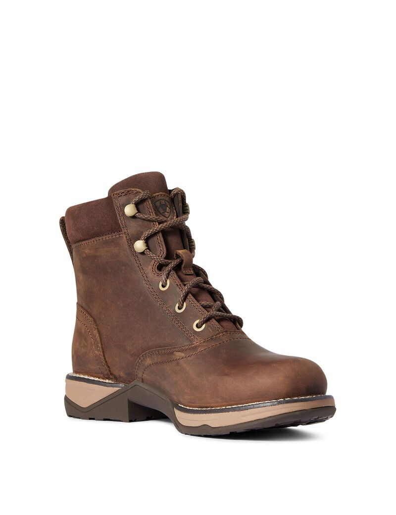 Botas Occidentales Ariat Anthem Round Puntera Lacer Marrom | HVB803674