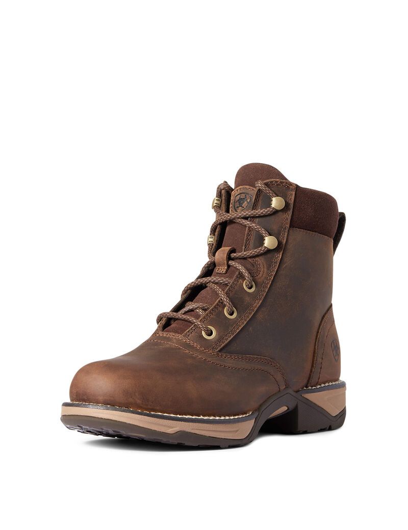 Botas Occidentales Ariat Anthem Round Puntera Lacer Marrom | HVB803674