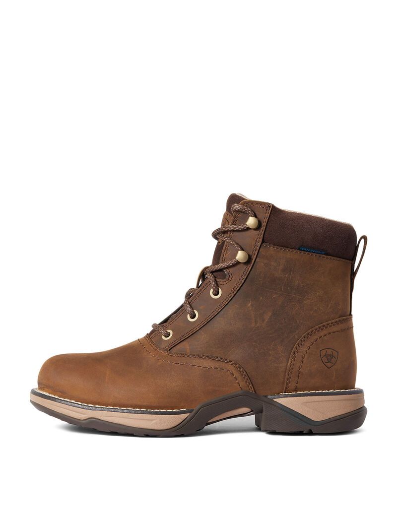 Botas Occidentales Ariat Anthem Round Puntera Lacer Impermeables Marrom | PZD034962