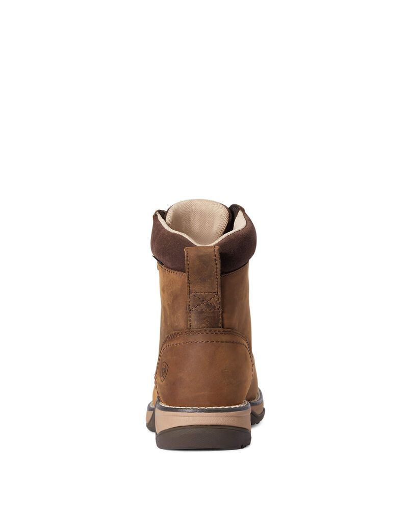 Botas Occidentales Ariat Anthem Round Puntera Lacer Impermeables Marrom | PZD034962