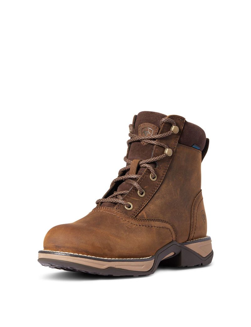 Botas Occidentales Ariat Anthem Round Puntera Lacer Impermeables Marrom | PZD034962