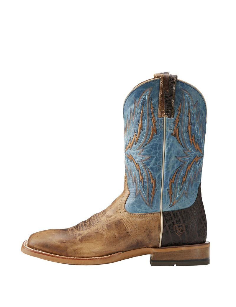 Botas Occidentales Ariat Arena Rebound Marrom | NKT571280