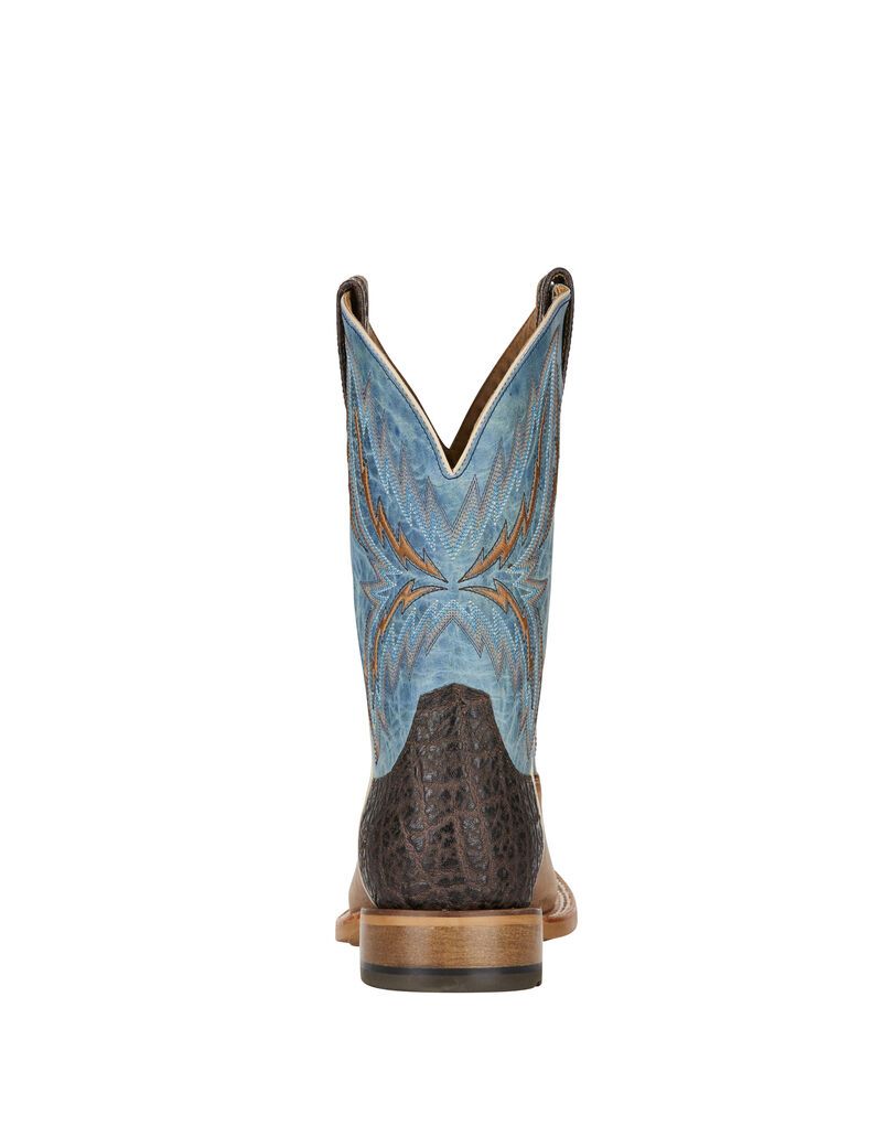 Botas Occidentales Ariat Arena Rebound Marrom | NKT571280