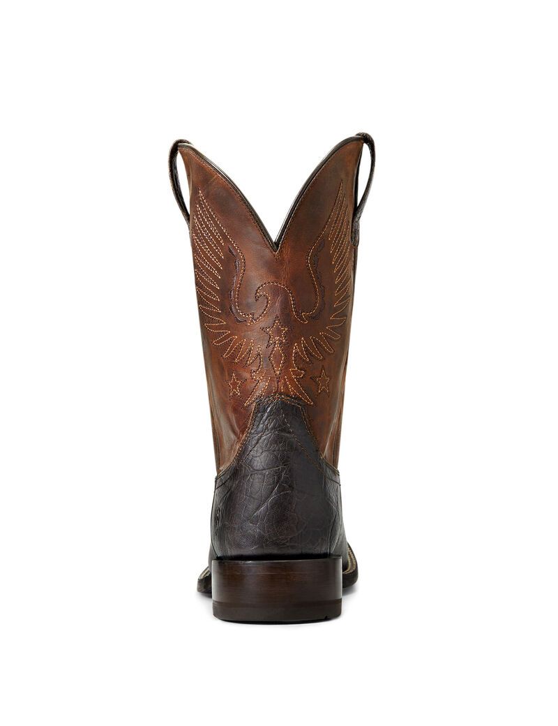 Botas Occidentales Ariat Circuit Eagle Marrom | ATE816945