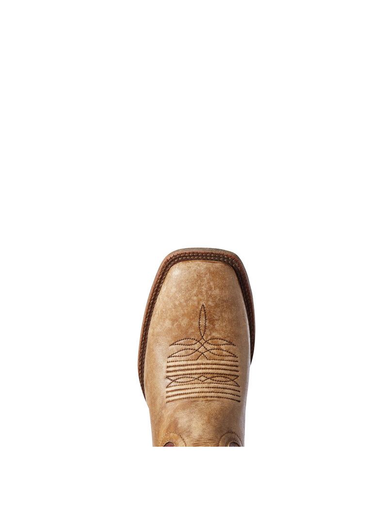 Botas Occidentales Ariat Circuit Proud Marrom | XTE263071