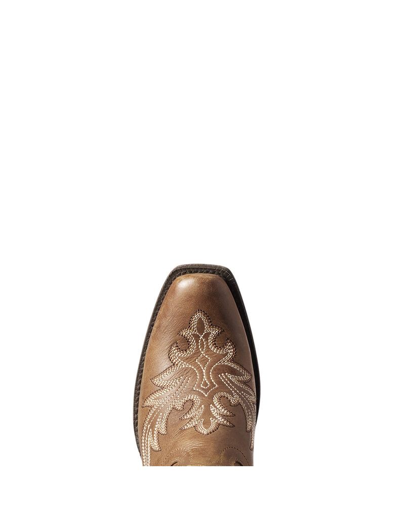 Botas Occidentales Ariat Circuit Rosewood Beige Marrom | CBP109854