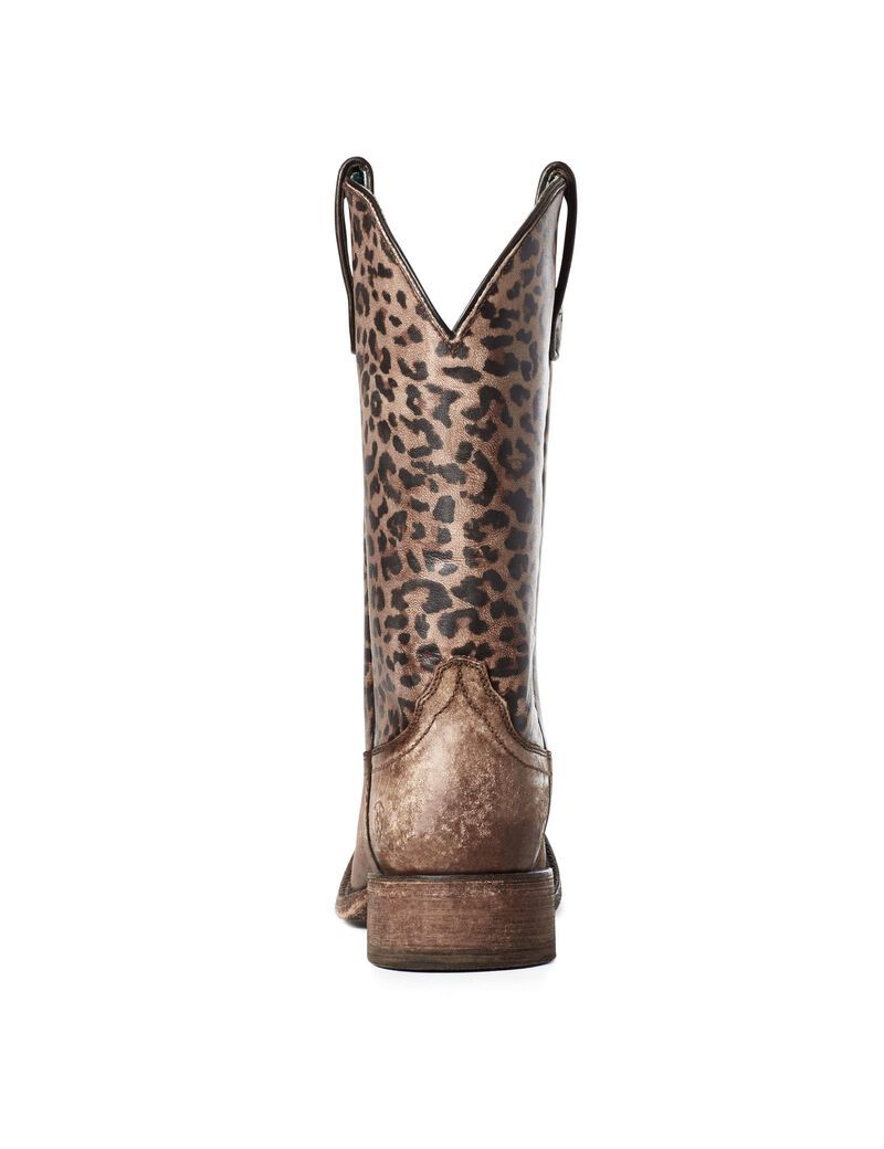 Botas Occidentales Ariat Circuit Savanna Marrom | PUW284317